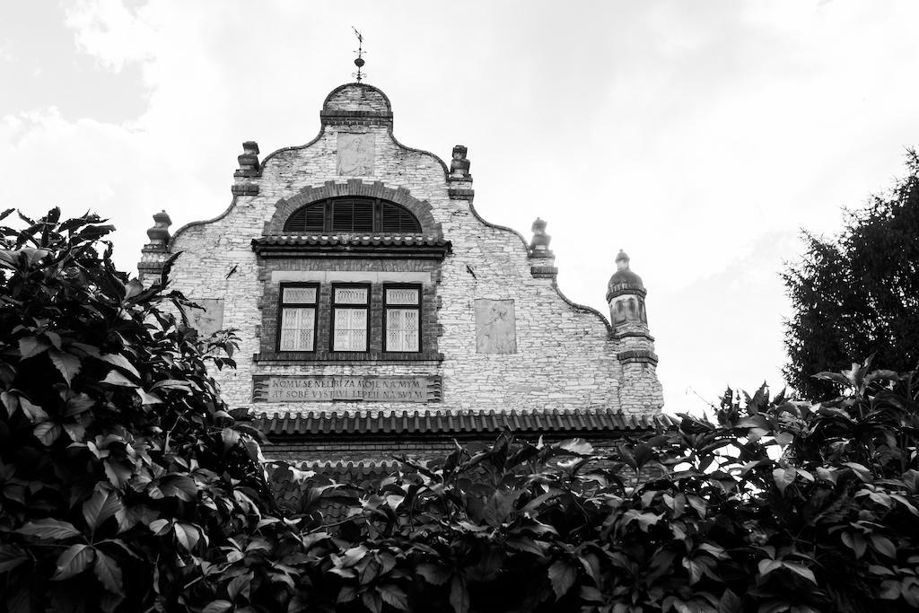 Vila Walter & Son Podiebrady Zewnętrze zdjęcie